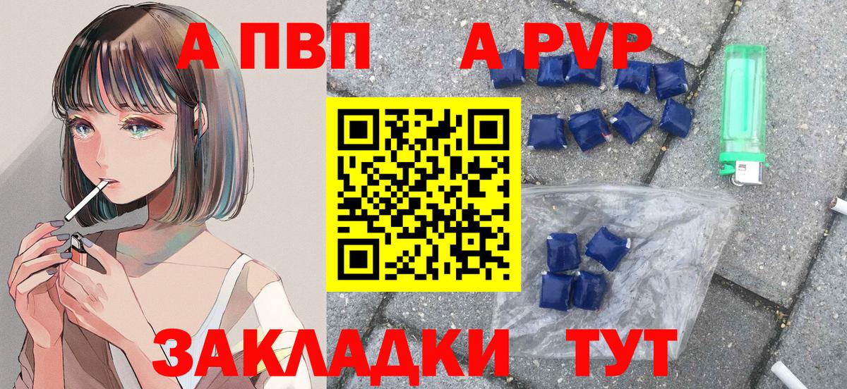 A PVP СК Архангельск