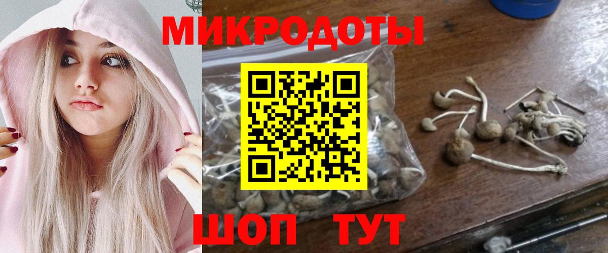 Псилоцибиновые грибы Magic Shrooms Архангельск